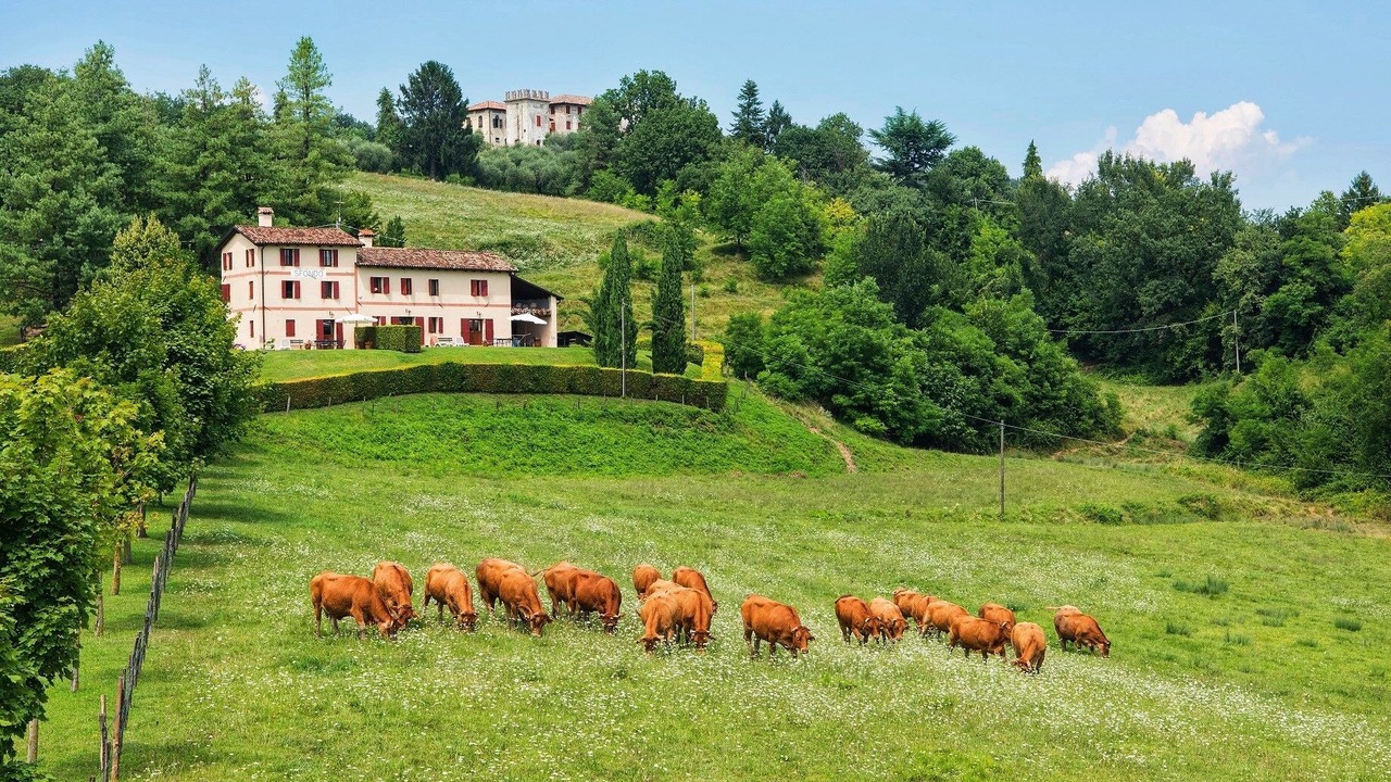 Photo of Bedroom in Susegana