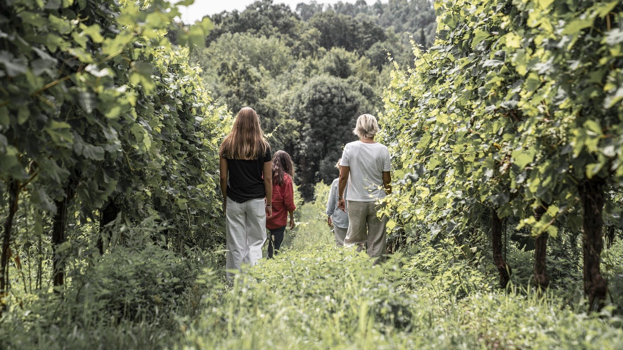 Photo of Outdoor in Susegana