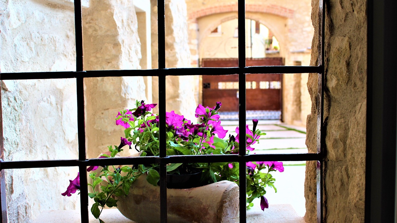 Photo of Outdoor in Marano di Valpolicella