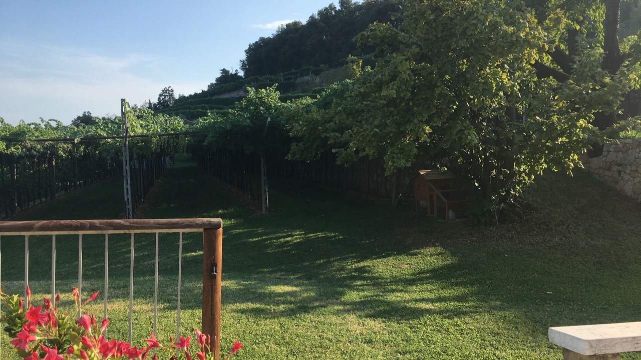 Photo of Outdoor in Valgatara
