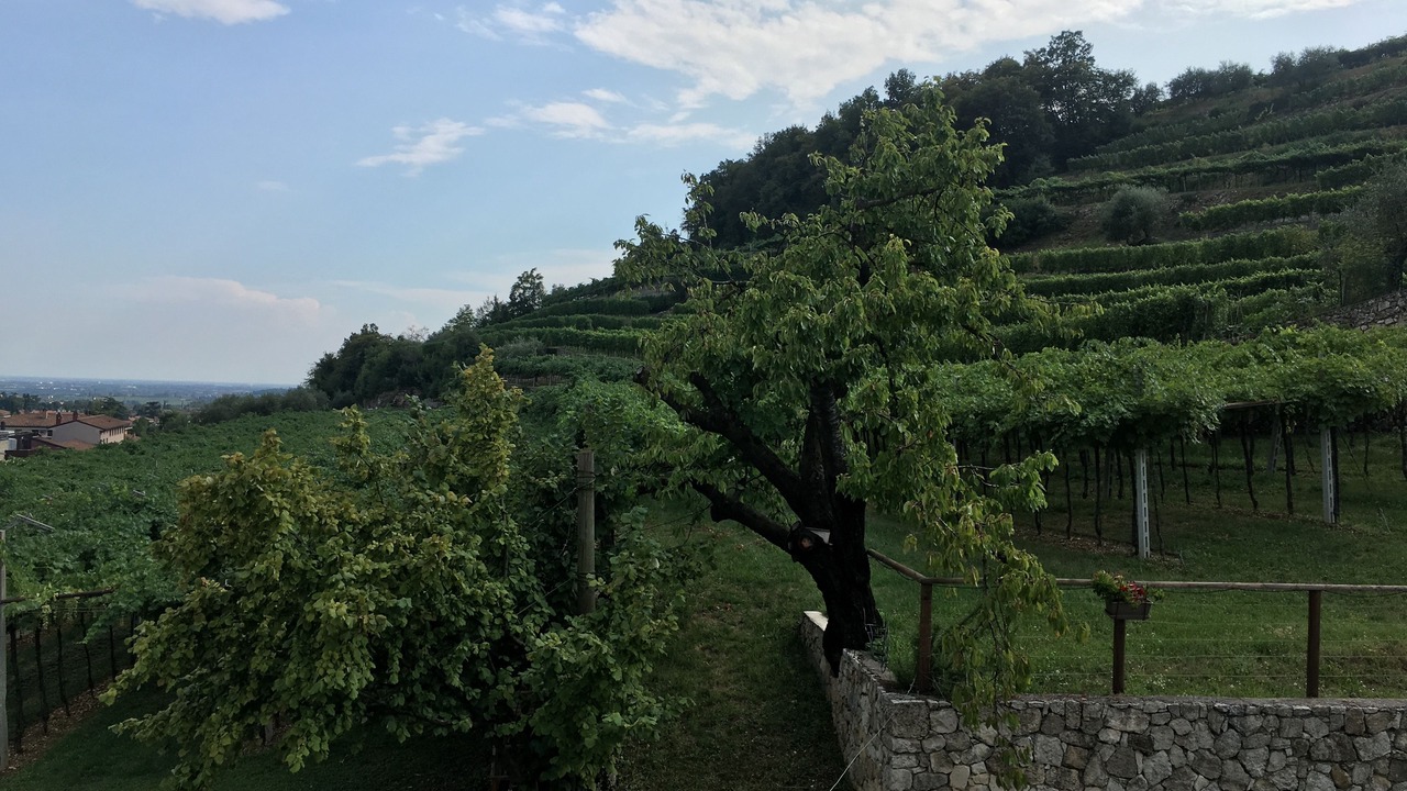 Photo of Outdoor in Valgatara
