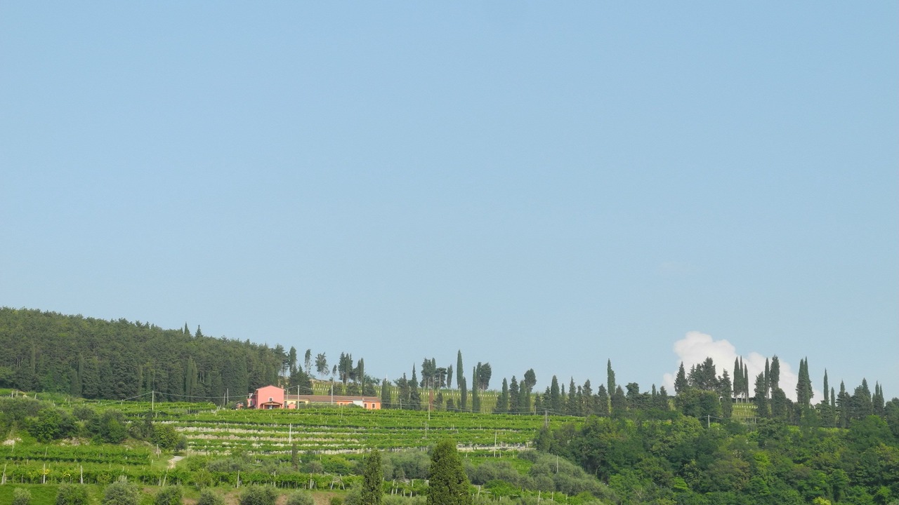 Photo of Bedroom in Gargagnago di Valpolicella