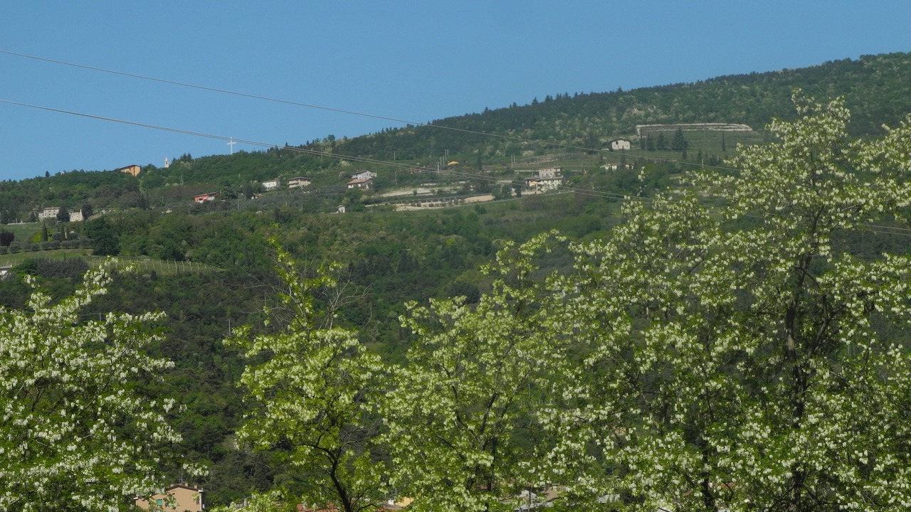 Photo of Bedroom in Gargagnago di Valpolicella