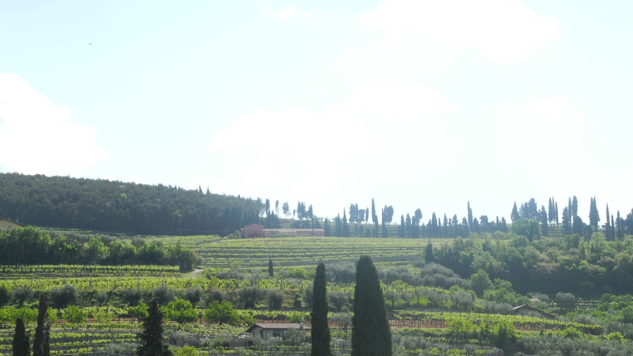 Photo of Bedroom in Gargagnago di Valpolicella