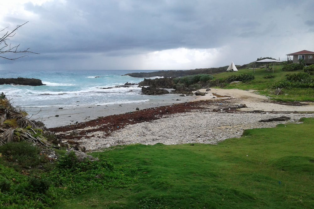 Photo of Others in Long Bay