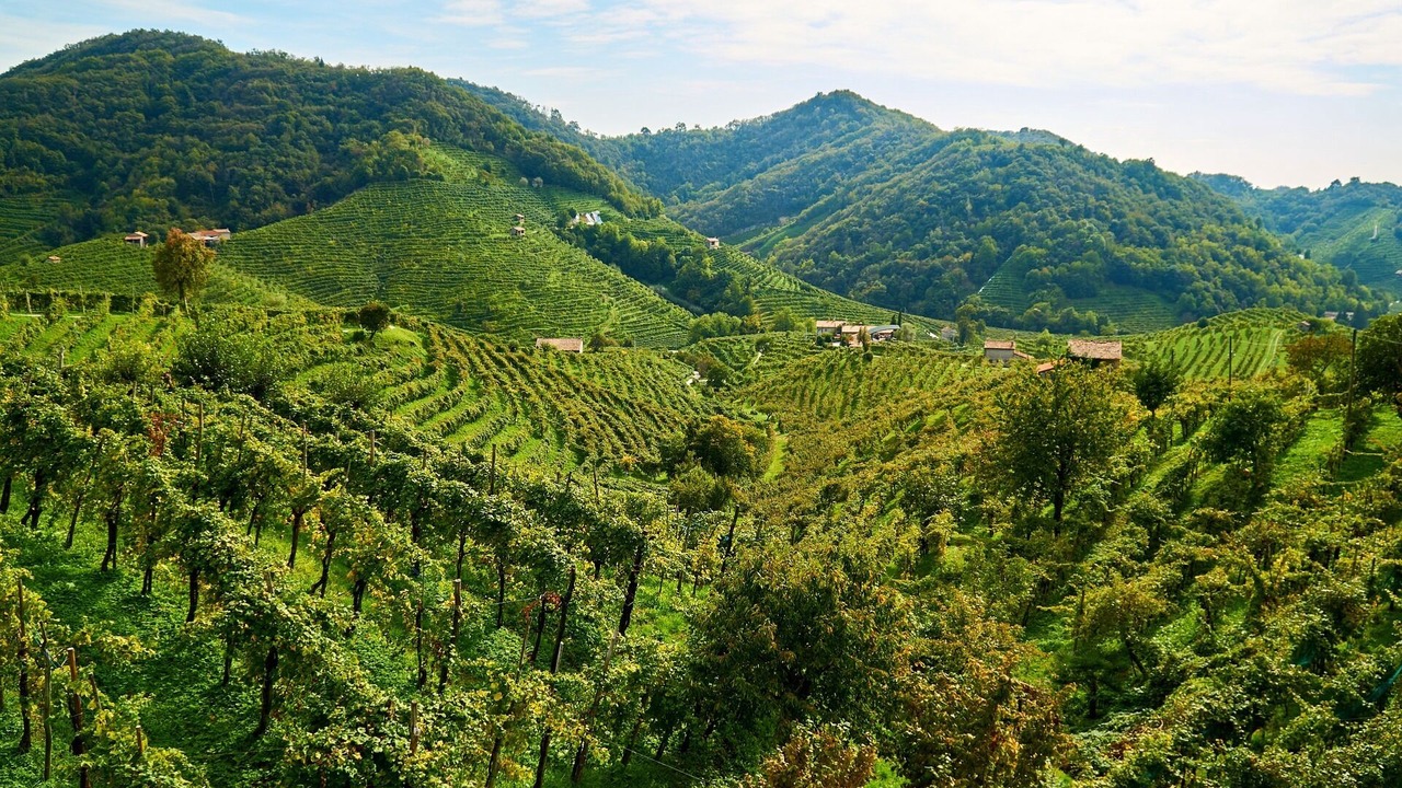 Photo of Others in Cavaso del Tomba