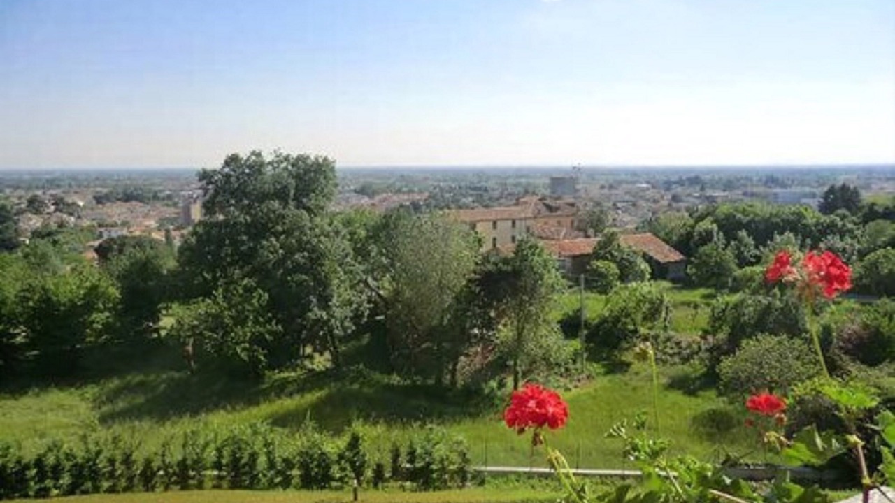 Photo of Others in Montebelluna