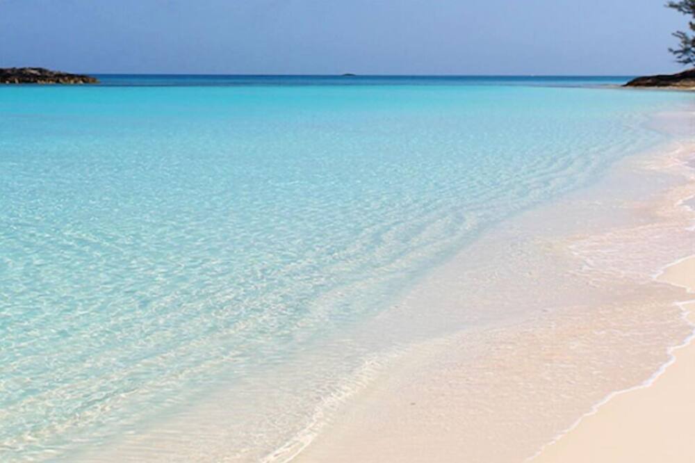 Photo of Others in Paradise Island
