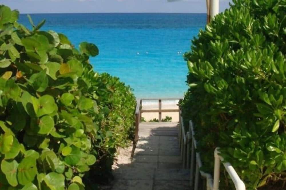 Photo of Others in Paradise Island
