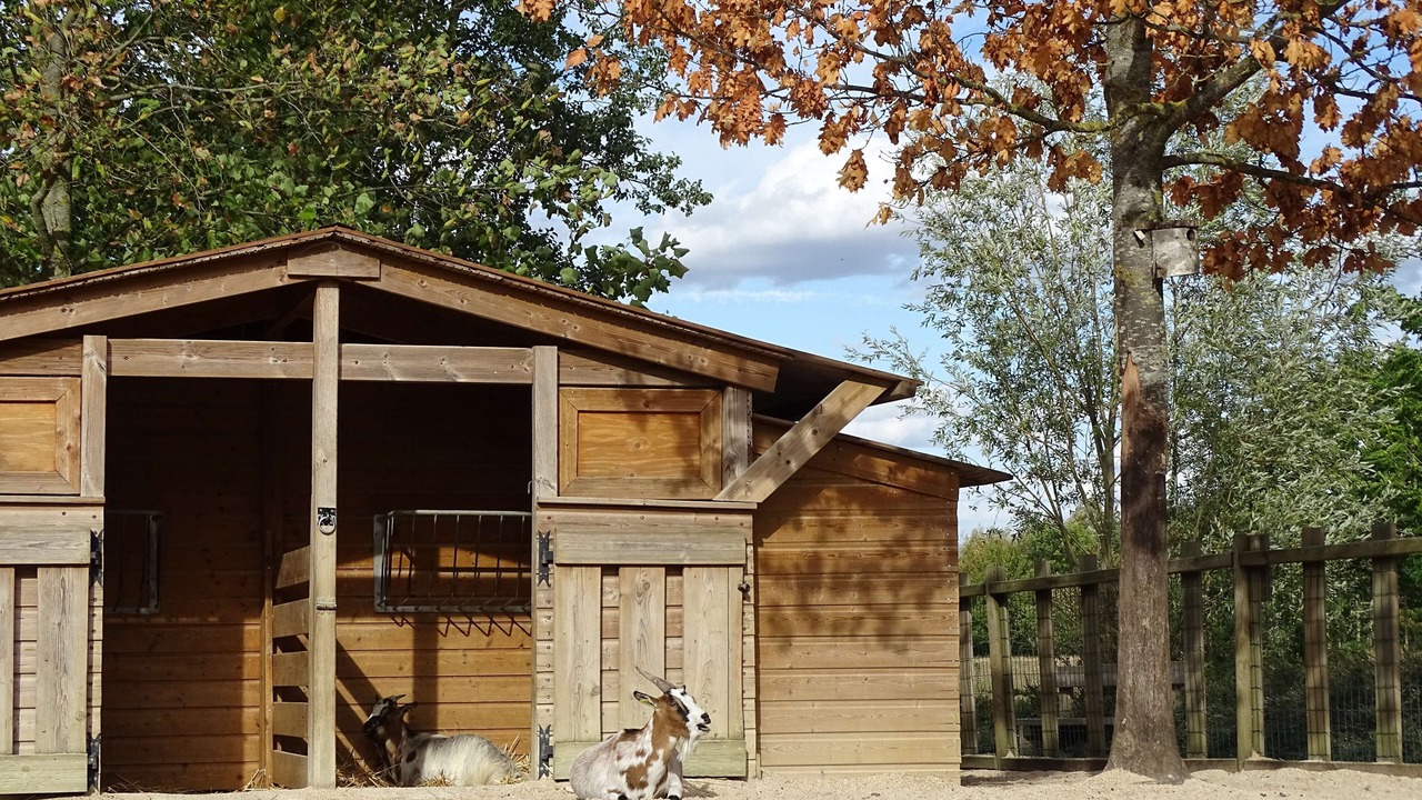 Photo of Others in Magny-le-Hongre