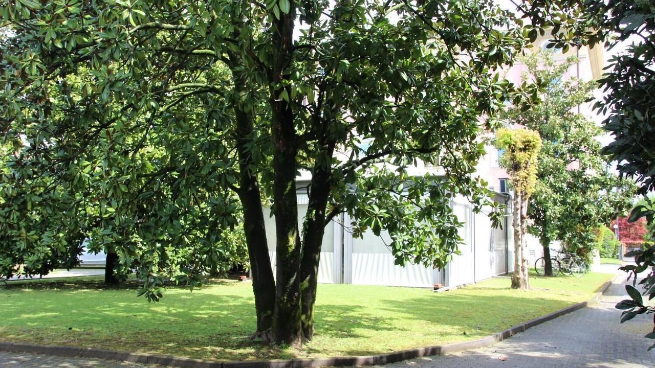 Photo of Outdoor in Noventa di Piave