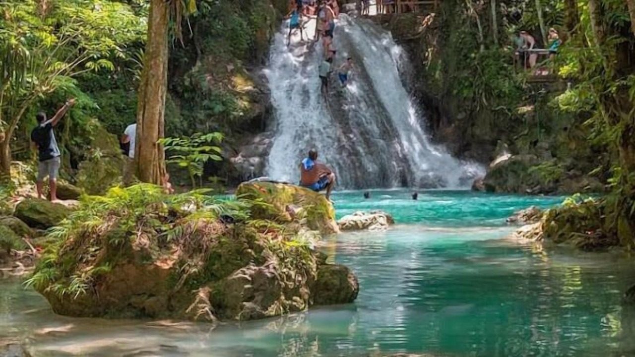 Photo of Others in St. Ann's Bay