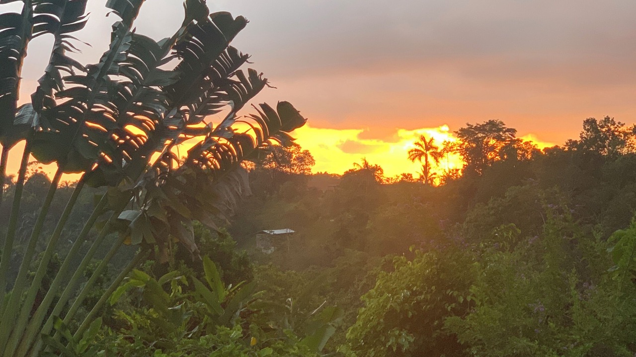 Photo of Outdoor in St. Ann's Bay