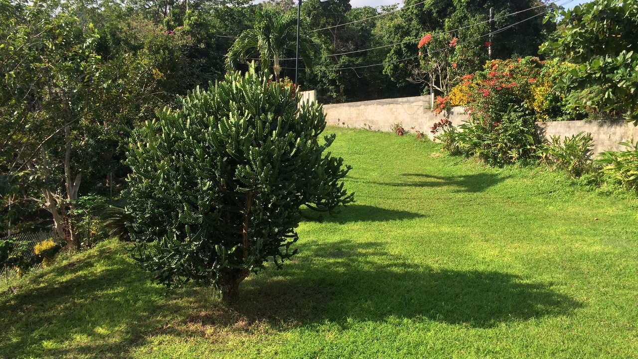Photo of Outdoor in St. Ann's Bay
