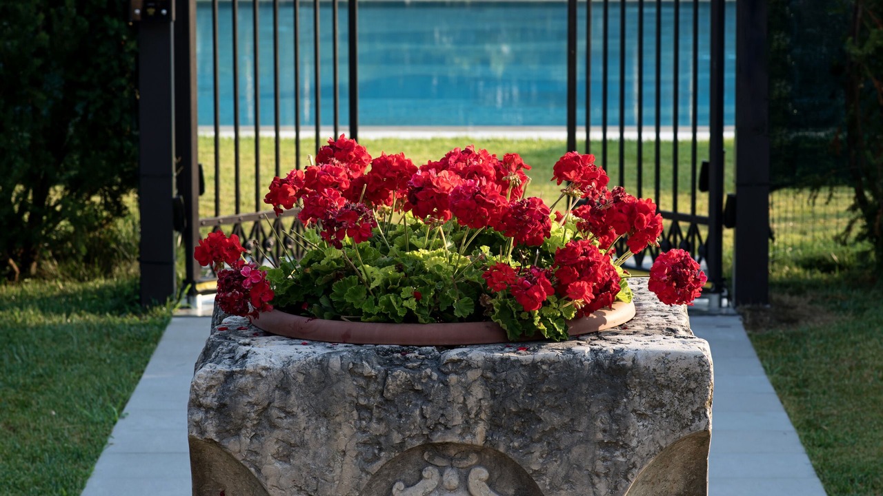 Photo of Outdoor in Olmo di Mira