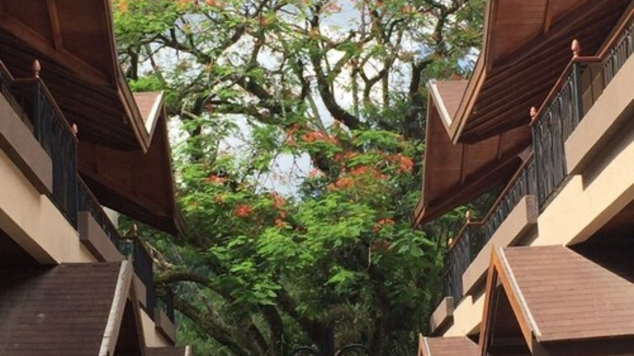 Photo of Outdoor in Penedo