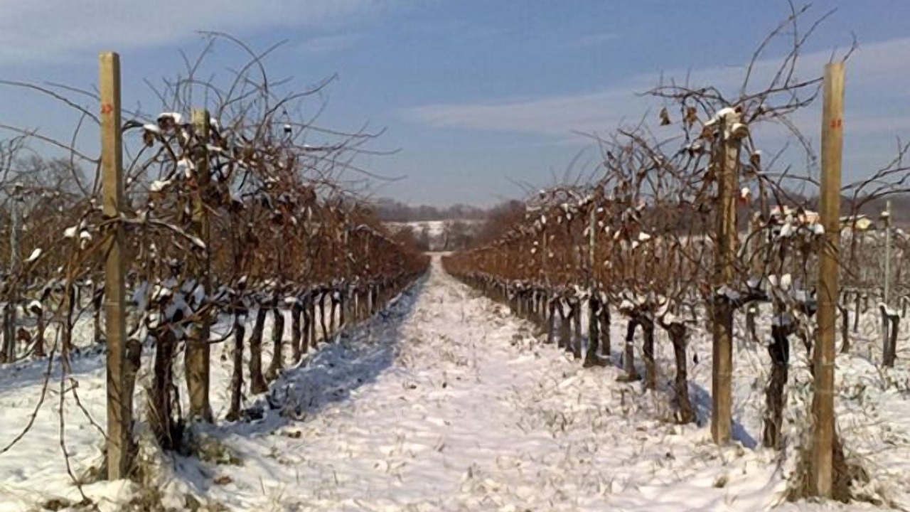 Photo of Outdoor in Montebelluna