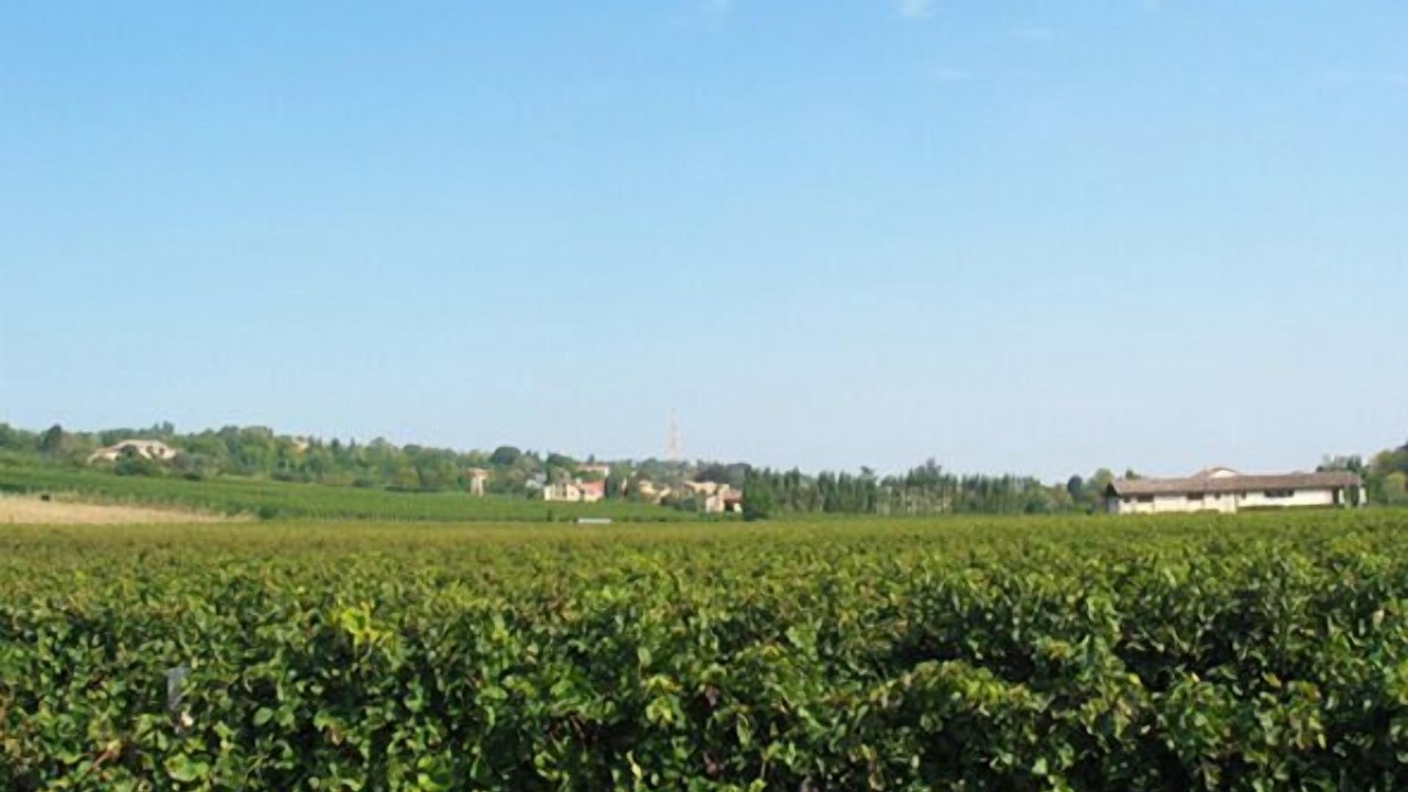 Photo of Outdoor in Montebelluna