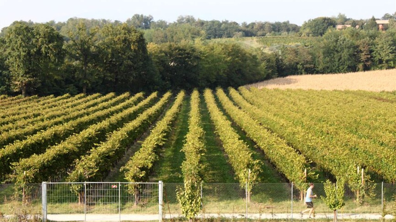 Photo of Outdoor in Montebelluna