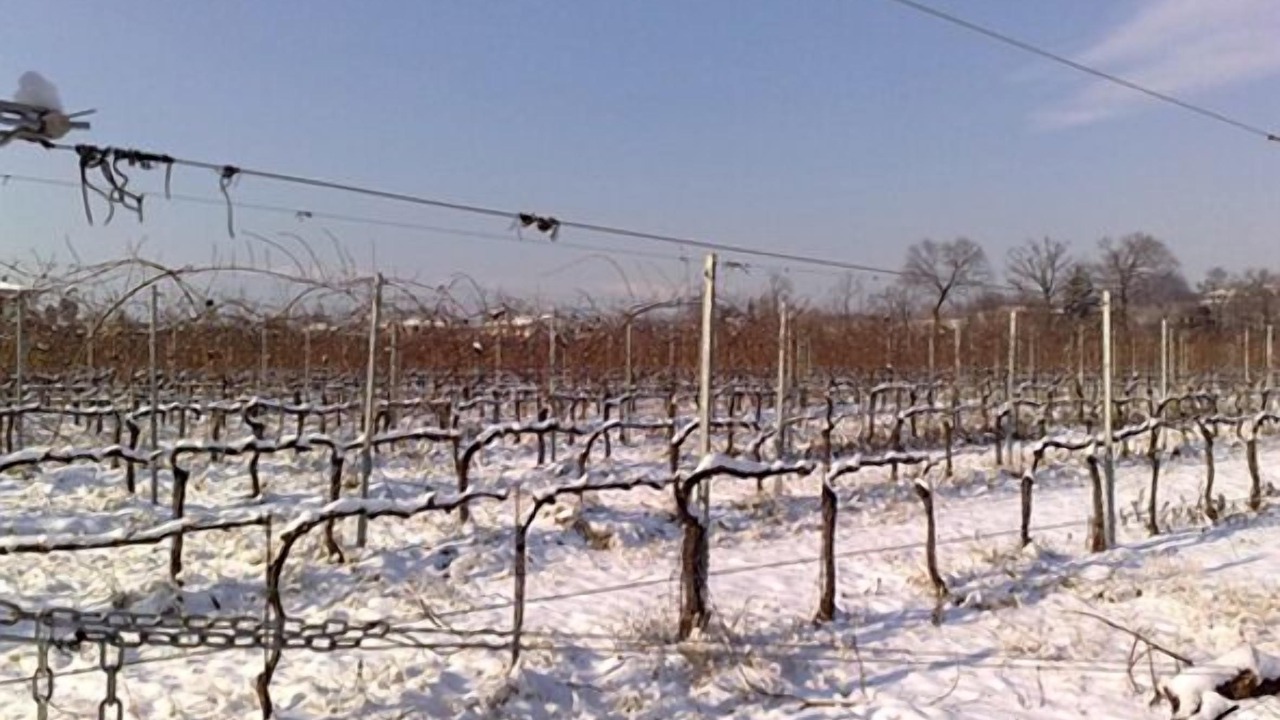 Photo of Outdoor in Montebelluna