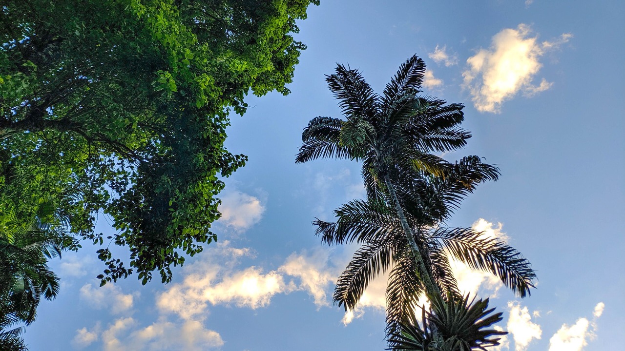 Photo of Outdoor in Paraty