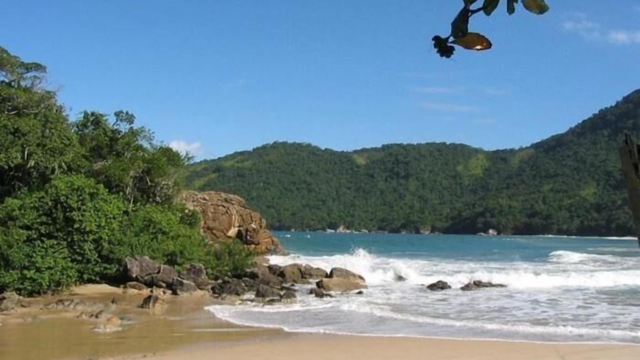 Photo of Others in Paraty
