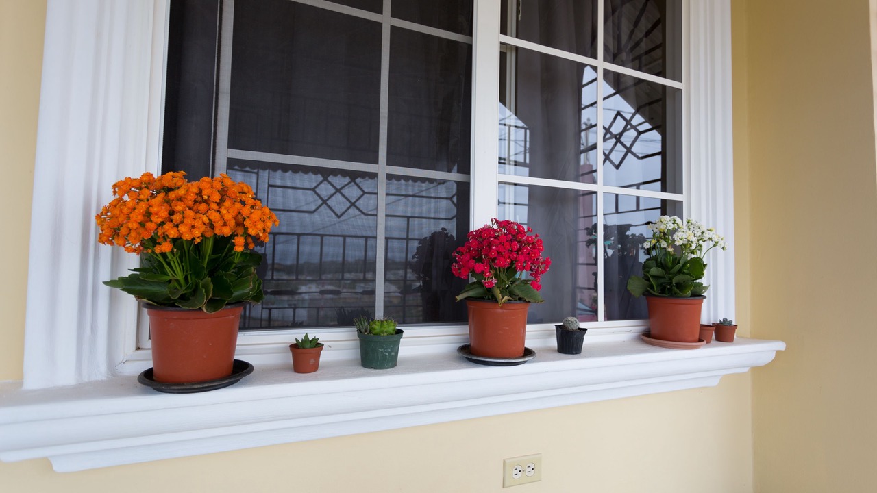 Photo of Outdoor in Hellshire