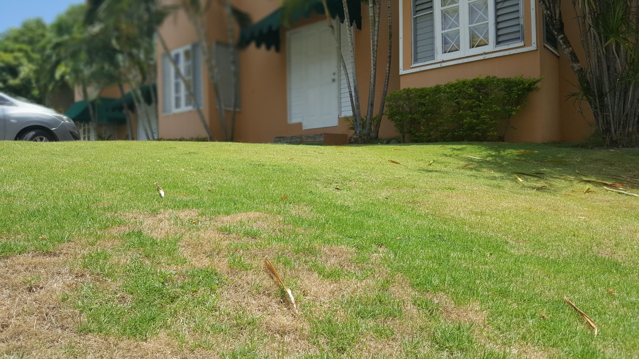 Photo of Outdoor in Saint Andrew