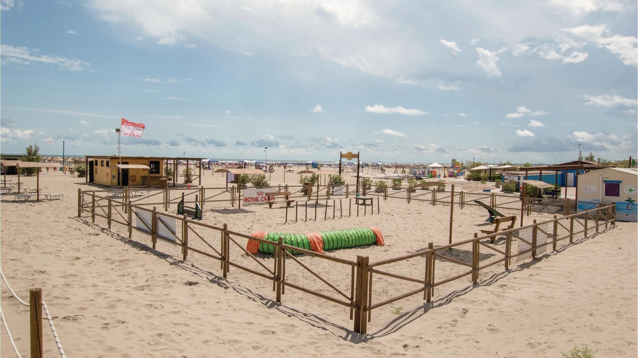 Photo of Others in Rosolina Mare