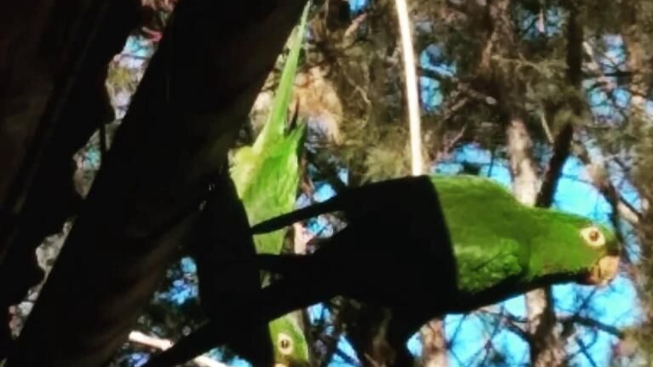 Photo of Outdoor in Penedo