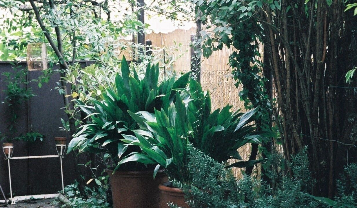 Photo of Outdoor in Cormons