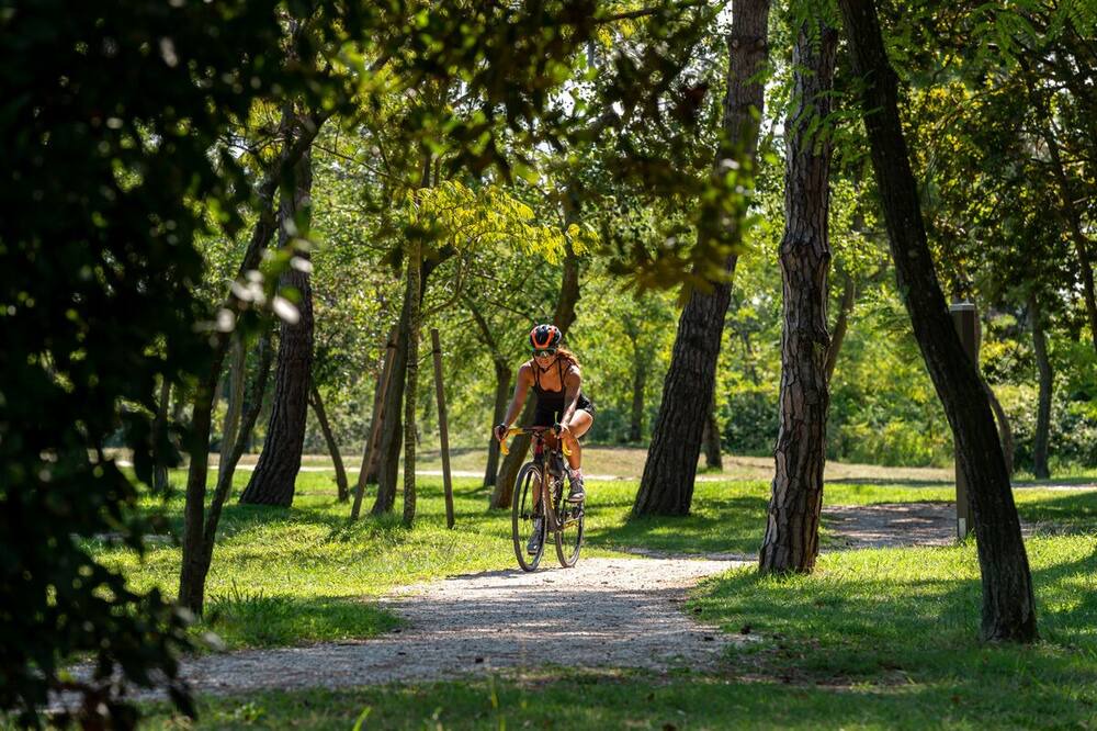 Photo of Outdoor in Rosolina