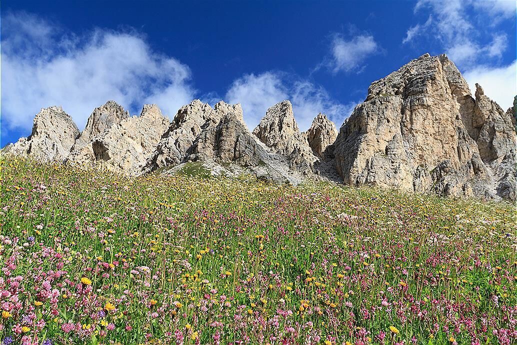 Photo of Outdoor in Livinallongo del Col di Lana