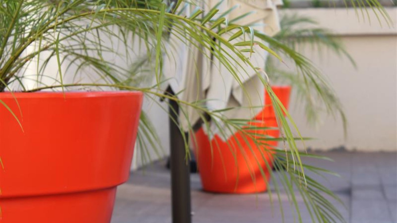 Photo of Outdoor in Campos Elisios