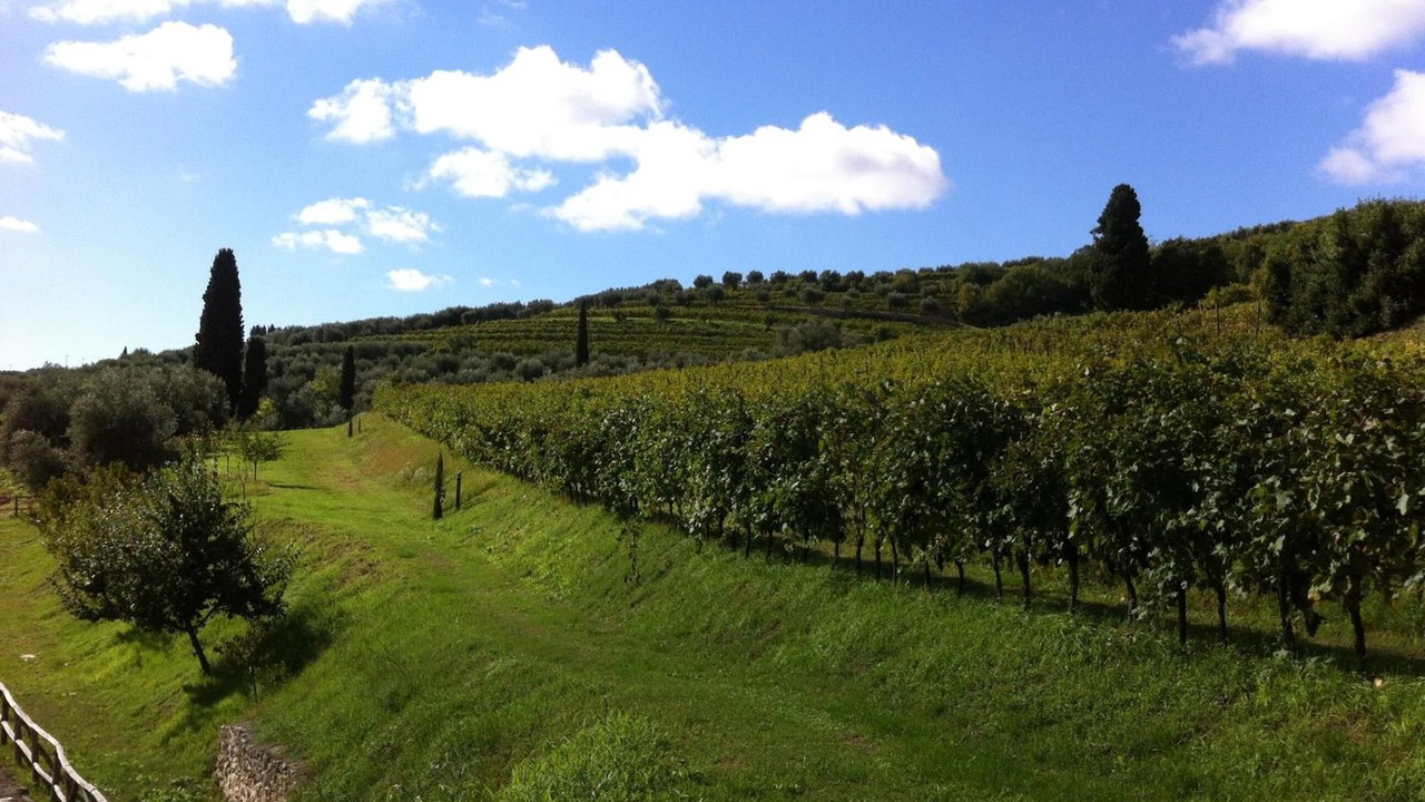 Photo of Outdoor in Gargagnago di Valpolicella
