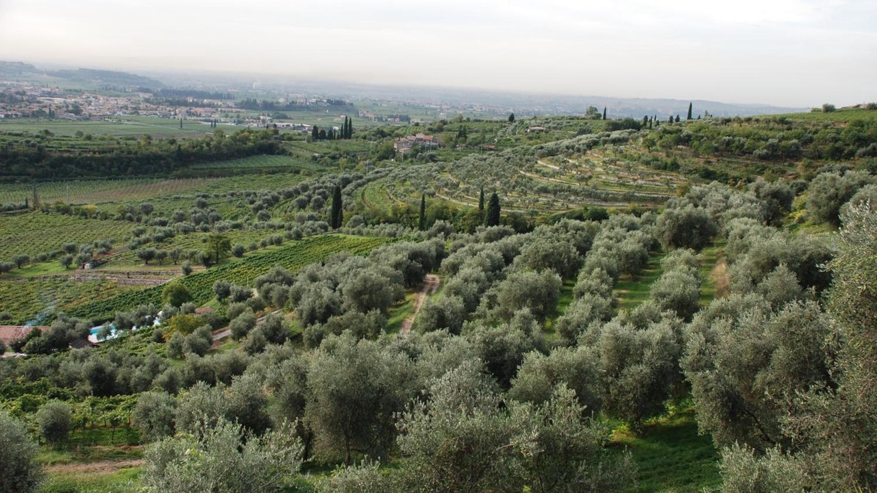 Photo of Outdoor in Gargagnago di Valpolicella