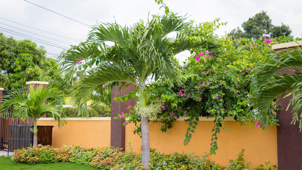 Photo of Outdoor in Molynes Gardens
