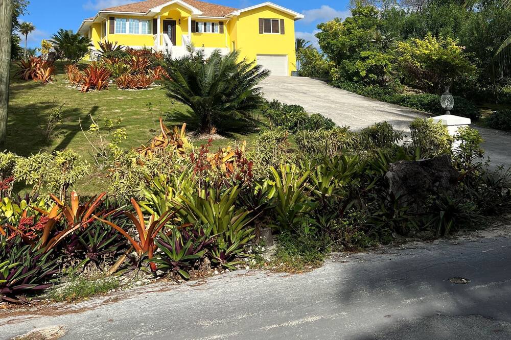 Photo of Outdoor in North Palmetto Point
