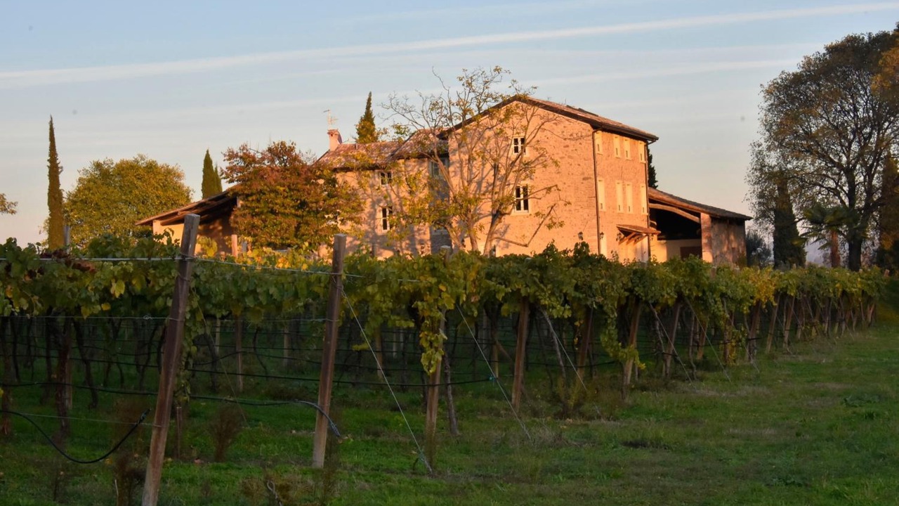 Photo of Outdoor in Lazise