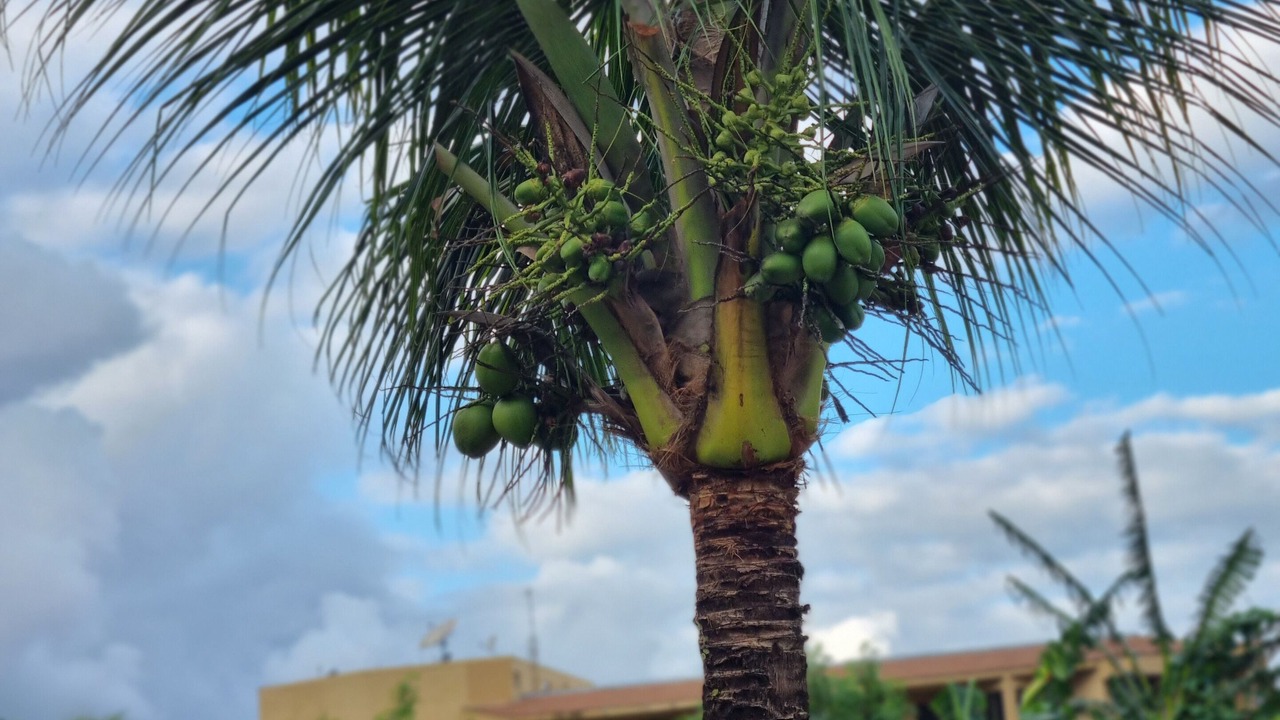 Photo of Outdoor in Mangaratiba