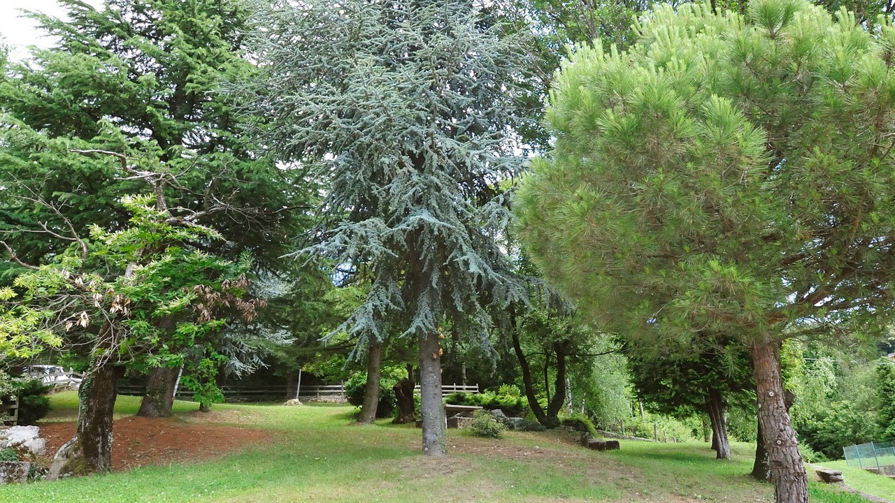 Photo of Outdoor in San Zeno di Montagna