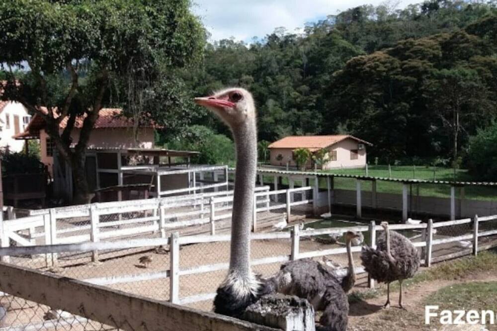 Photo of Others in Petropolis
