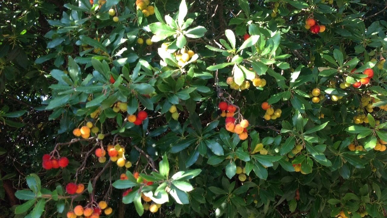 Photo of Outdoor in Teolo