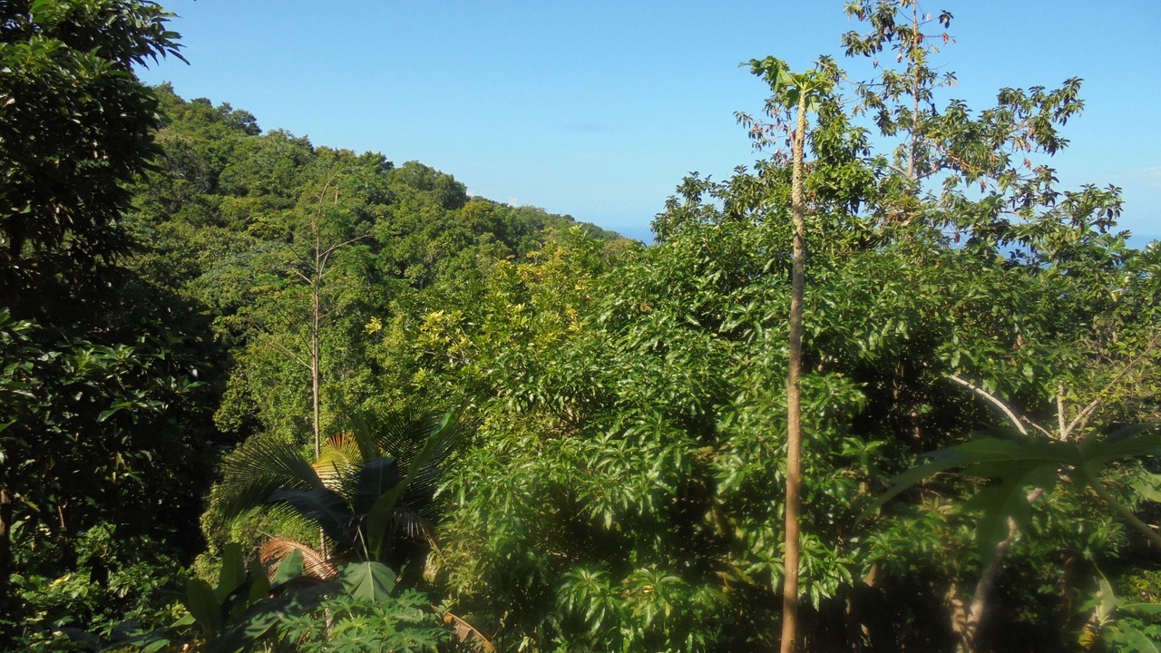 Photo of Outdoor in Saint Margarets Bay