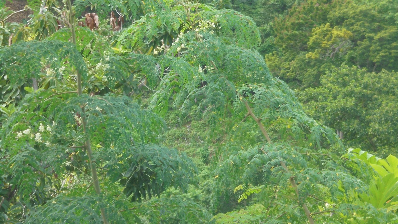 Photo of Outdoor in Saint Margarets Bay