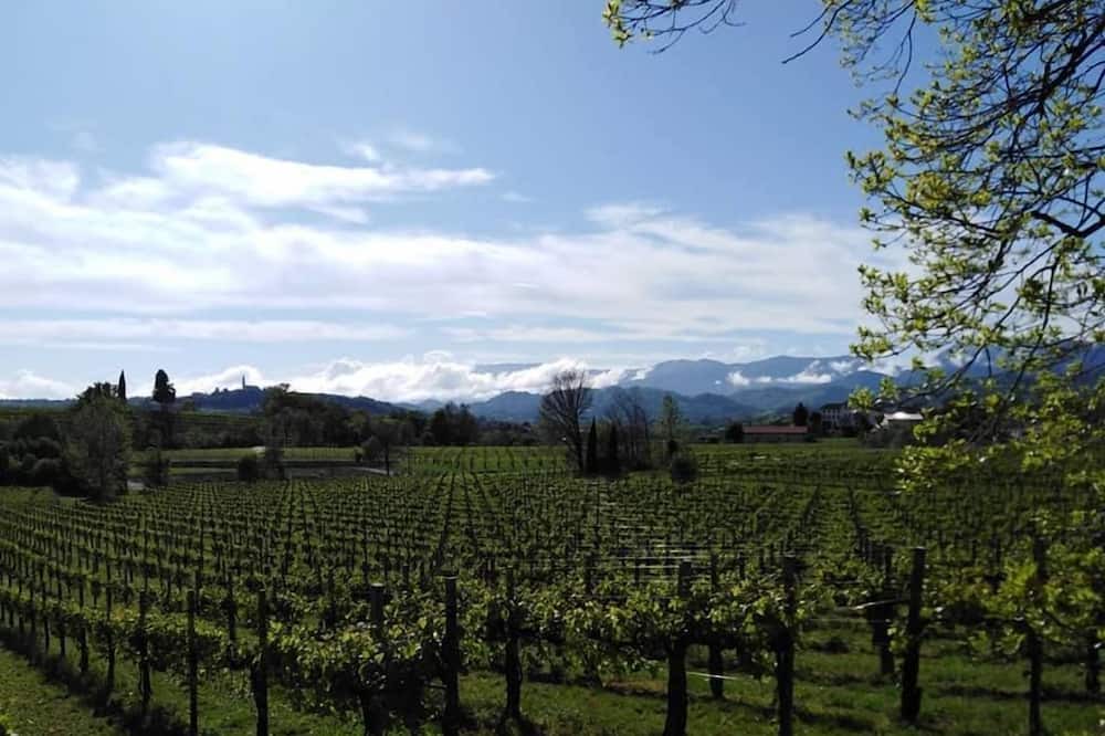 Photo of Others in Conegliano