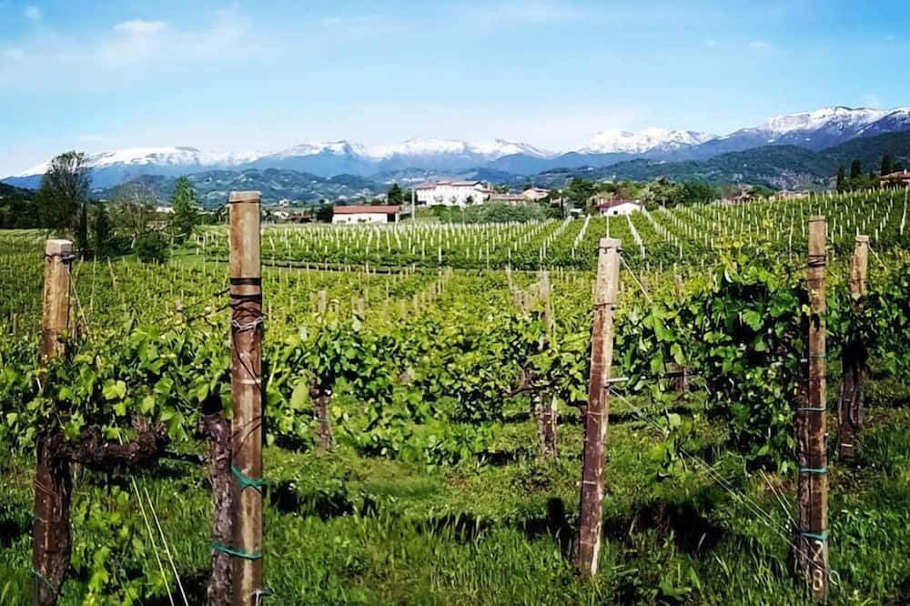 Photo of Others in Conegliano