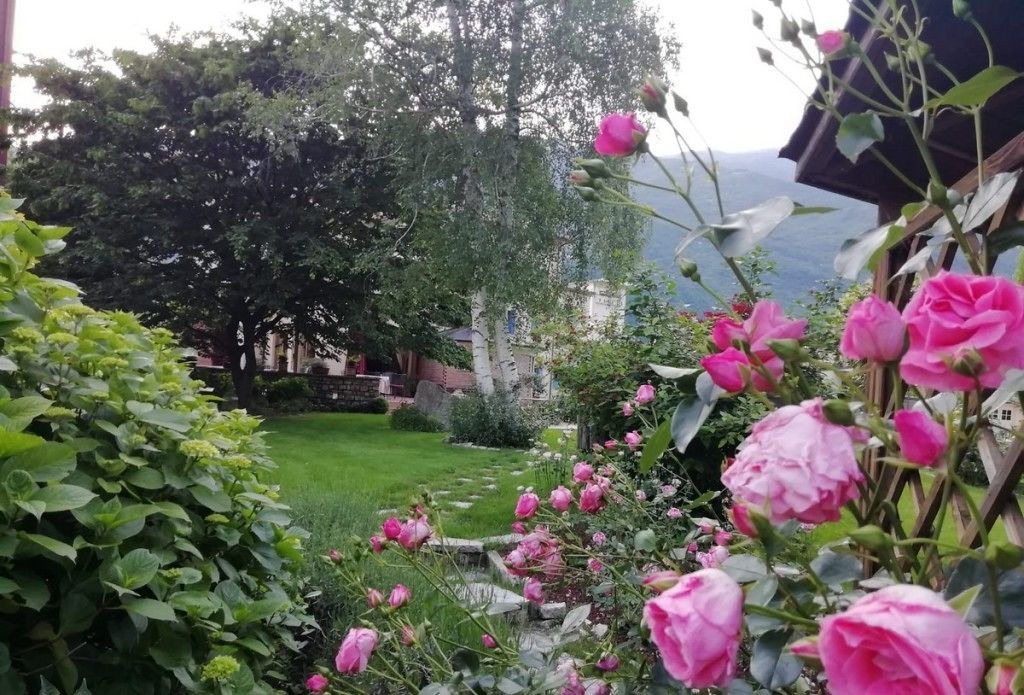 Photo of Outdoor in Vittorio Veneto
