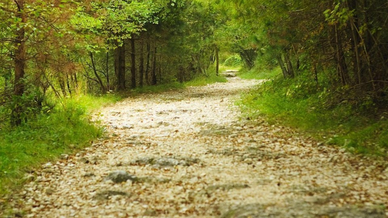 Photo of Outdoor in Borso del Grappa