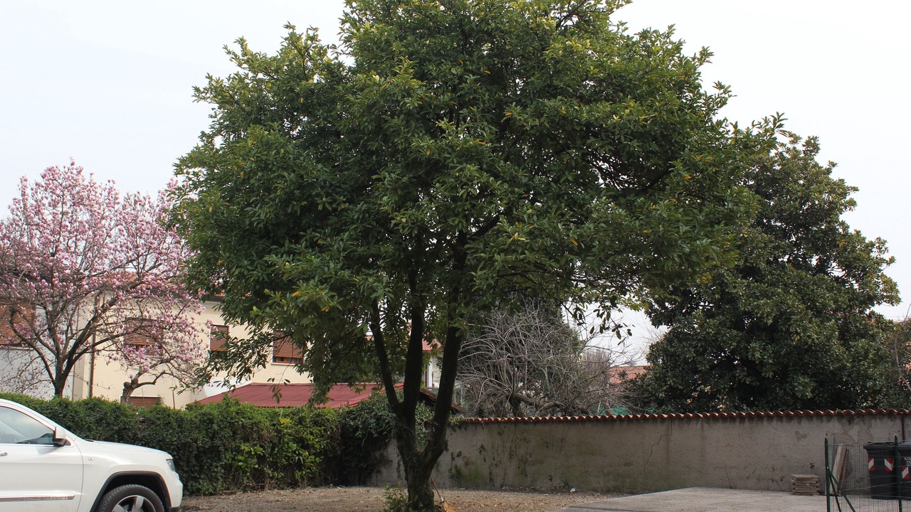 Photo of Outdoor in Fontanelle